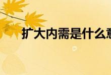扩大内需是什么意思（扩大内需解释）