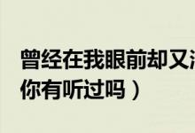 曾经在我眼前却又消失不见是哪首歌的歌词（你有听过吗）