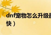 dnf宠物怎么升级最快（dnf宠物如何升级最快）