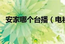 安家哪个台播（电视剧《安家》播放信息）