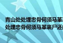 青山处处埋忠骨何须马革裹尸还的意思是什么意思（青山处处埋忠骨何须马革裹尸还的意思）