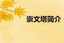 崇文塔简介（崇文塔的资料）