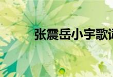 张震岳小宇歌词（歌曲小宇歌词）