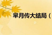 芈月传大结局（结局是什么芈月传）