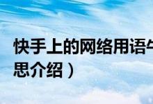 快手上的网络用语牛马是什么意思（牛马的意思介绍）