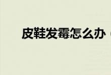 皮鞋发霉怎么办（皮鞋发霉怎么清洗）