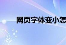 网页字体变小怎么办（设置的技巧）