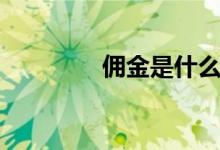佣金是什么（佣金的含义）