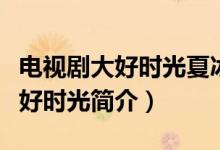 电视剧大好时光夏冰冰结局是什么（电视剧大好时光简介）