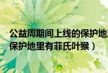 公益周期间上线的保护地里有什么动物（公益周期间上线的保护地里有菲氏叶猴）