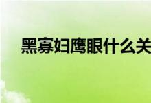 黑寡妇鹰眼什么关系（只是朋友关系吗）