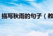 描写秋雨的句子(教你几句关于秋雨的句子)