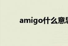 amigo什么意思（amigo的例句）