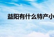 益阳有什么特产小吃（益阳的特产介绍）