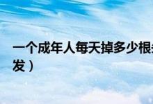 一个成年人每天掉多少根头发属于正常现象（为什么会掉头发）