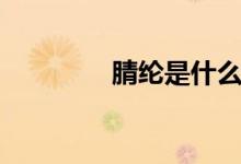 腈纶是什么（什么是腈纶）