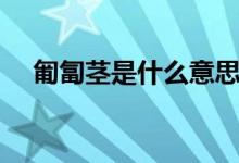 匍匐茎是什么意思（匍匐茎指的是什么）