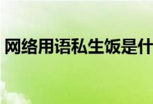 网络用语私生饭是什么意思（私生饭的意思）