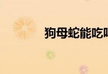狗母蛇能吃吗（这里有答案）
