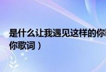 是什么让我遇见这样的你歌词（歌曲是什么让我遇见这样的你歌词）