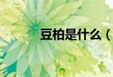 豆柏是什么（关于豆柏的介绍）