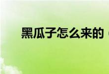 黑瓜子怎么来的（黑瓜子有什么好处）