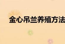 金心吊兰养殖方法（金心吊兰如何养殖）