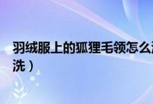 羽绒服上的狐狸毛领怎么清洗（羽绒服上的狐狸毛领如何清洗）