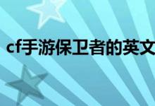 cf手游保卫者的英文名（cf灵狐者的英文名）