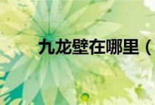 九龙壁在哪里（九龙壁在什么地方）