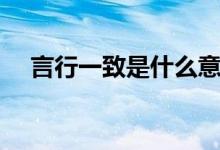 言行一致是什么意思（言行一致的意思）