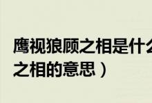 鹰视狼顾之相是什么意思（怎么理解鹰视狼顾之相的意思）