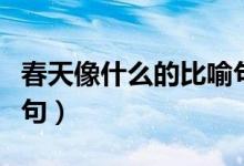 春天像什么的比喻句有哪些（关于春天的比喻句）