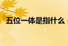 五位一体是指什么（五位一体指的是什么）