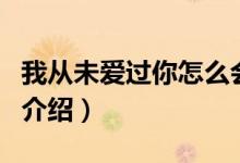 我从未爱过你怎么会想念你歌词（这首歌详细介绍）