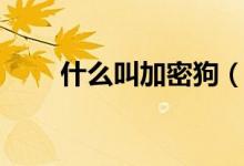 什么叫加密狗（加密狗是什么东西）