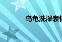 乌龟洗澡表情包（乌龟洗澡）