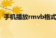 手机播放rmvb格式文件（手机播放rmvb）