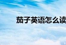 茄子英语怎么读（茄子英语是什么）