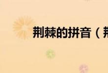 荆棘的拼音（荆棘的拼音是什么）