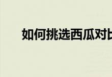 如何挑选西瓜对比图（如何挑选西瓜）