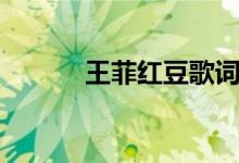 王菲红豆歌词（歌曲红豆歌词）