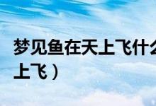 梦见鱼在天上飞什么意思（为什么梦见鱼在天上飞）