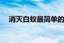 消灭白蚁最简单的方法（如何消灭白蚁）
