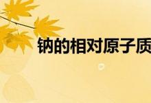 钠的相对原子质量（钠是什么金属）