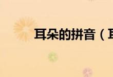 耳朵的拼音（耳朵的拼音及解释）
