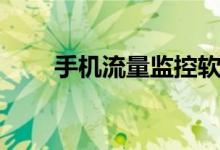 手机流量监控软件（手机流量监控）