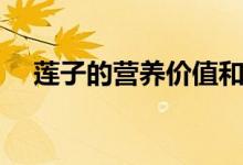 莲子的营养价值和功效（莲子相关介绍）