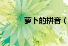 萝卜的拼音（萝卜的拼音简述）