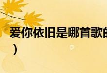 爱你依旧是哪首歌的歌词（爱你依旧完整歌词）